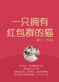 Кот и группа Красных Конвертов