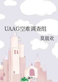 Группа UAAG по расследованию авиакатастроф